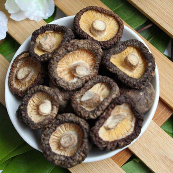 為食用菌香菇與農業生產脫水烘干機烤箱用戶提供方便